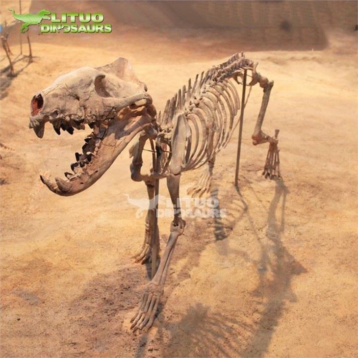 4prehistoric fossil sabertooth tiger(001)